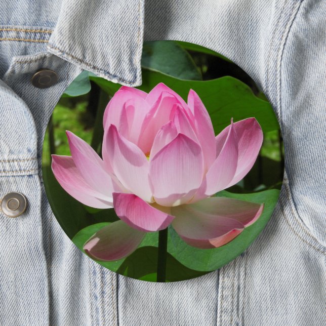 Pink Lotus Bloom 6 Cm Round Badge (In Situ)