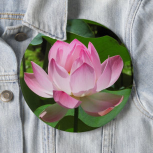 Pink Lotus Bloom 6 Cm Round Badge