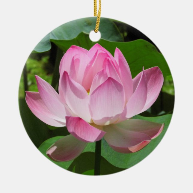 Pink Lotus Bloom Ceramic Tree Decoration (Front)