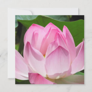 Pink Lotus Bloom Holiday Card