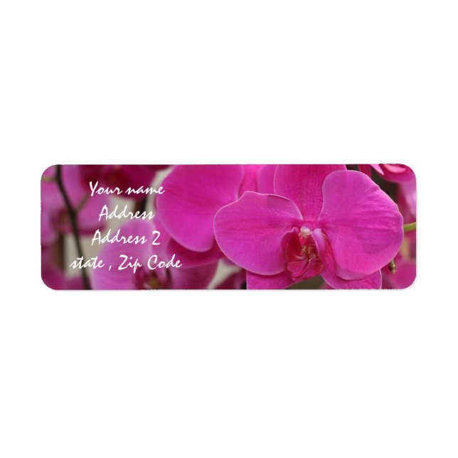 Pink Lotus Blossom addres labels (Front)