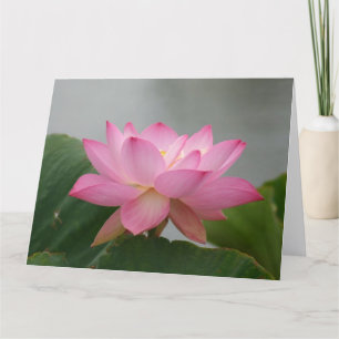 Pink Lotus Blossom Card