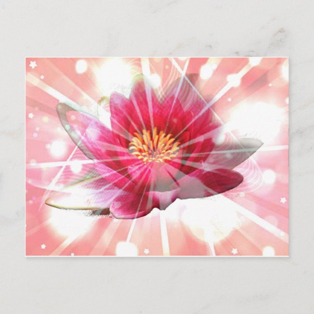pink lotus blossom postcard (Front)