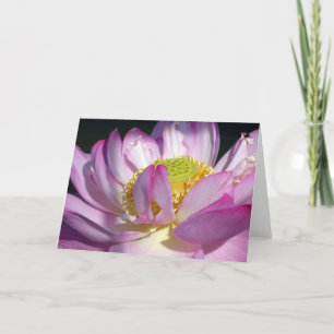 Pink Lotus Card