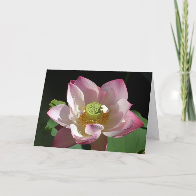 Pink Lotus Card (Front)