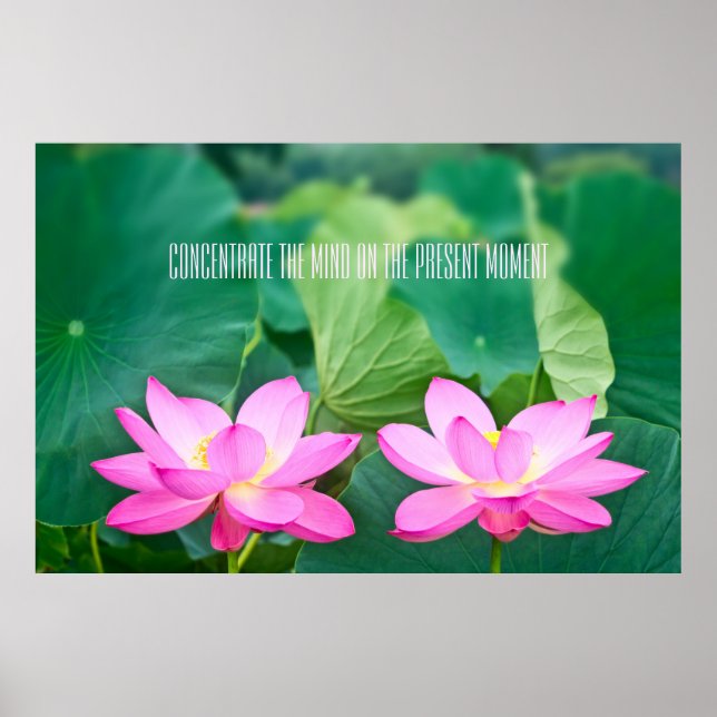 Pink Lotus Couple Inspiration Pair Pond Green Leaf Poster (Front)