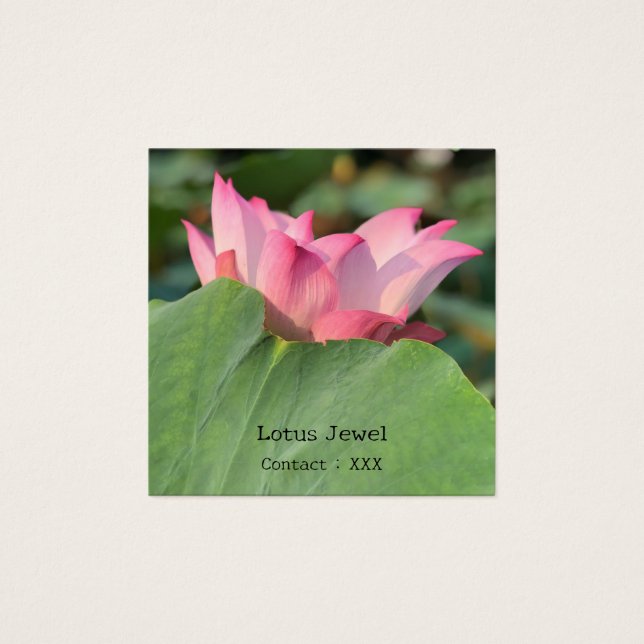 Pink Lotus Flower  (Front)