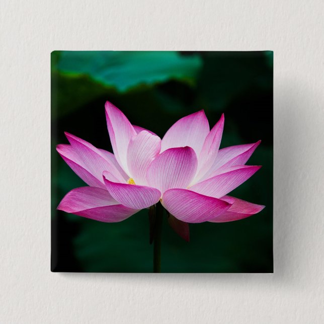 Pink Lotus Flower 15 Cm Square Badge (Front)