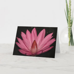 pink lotus flower card