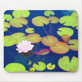 Pink Lotus Flower floating with lily pads on pond Mouse Mat