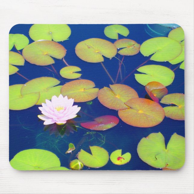 Pink Lotus Flower floating with lily pads on pond Mouse Mat (Front)