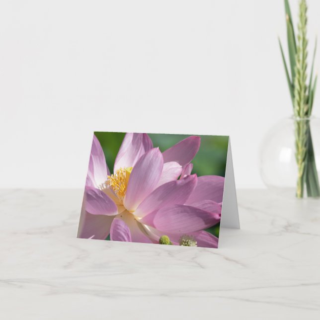 Pink Lotus Flower Folded Thank You Card (Front)
