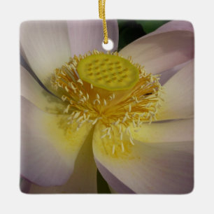 Pink Lotus Flower I Summer Floral Ceramic Tree Decoration