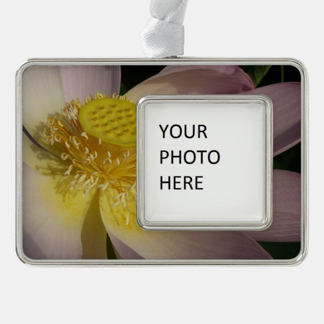 Pink Lotus Flower I Summer Floral Silver Plated Framed Ornament (Front)