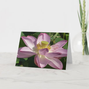 Pink Lotus Flower II Summer Floral Card