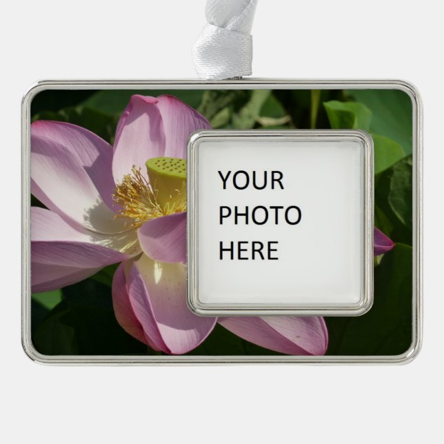 Pink Lotus Flower II Summer Floral Silver Plated Framed Ornament (Front)