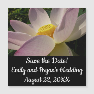 Pink Lotus Flower III Summer Floral
