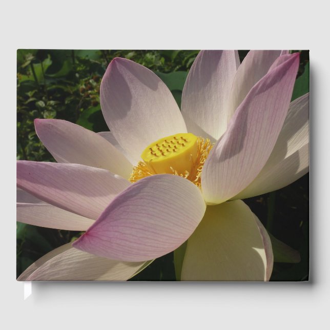Pink Lotus Flower III Summer Floral Guest Book (Front)