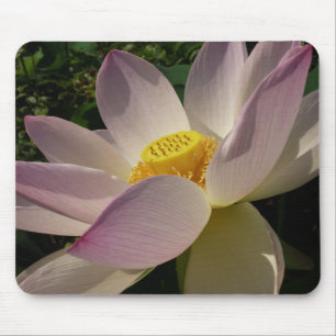 Pink Lotus Flower III Summer Floral Mouse Mat