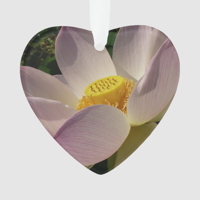 Pink Lotus Flower III Summer Floral Ornament (Front)