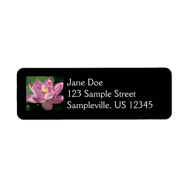 Pink Lotus Flower IV (Front)