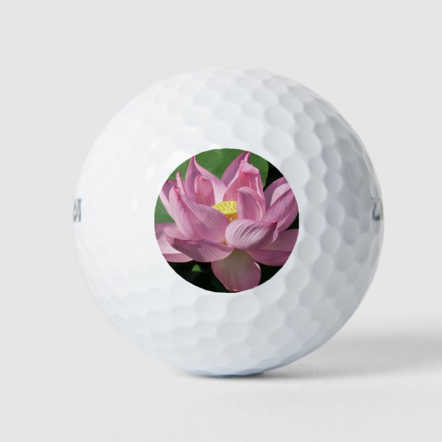 Pink Lotus Flower IV Golf Balls (Front)