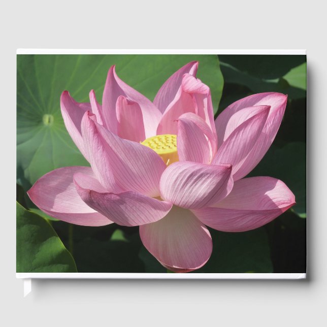 Pink Lotus Flower IV Guest Book (Front)