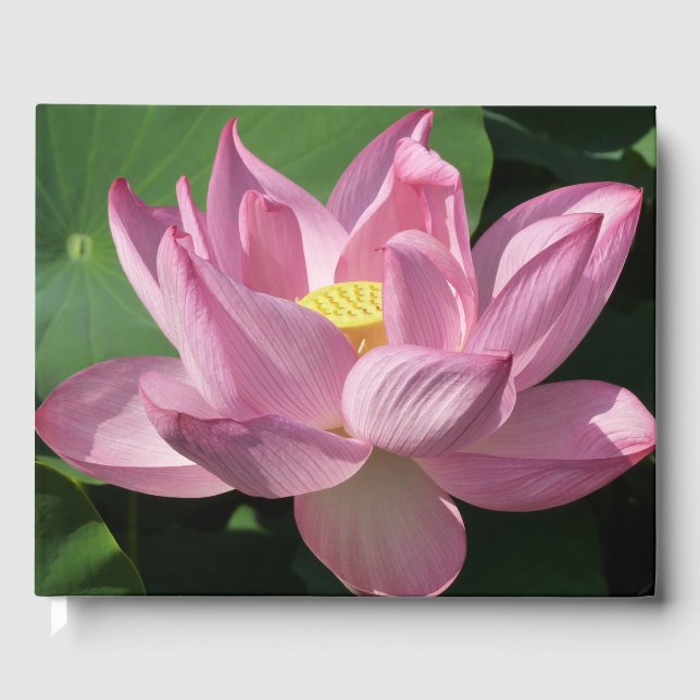 Pink Lotus Flower IV Guest Book (Front)