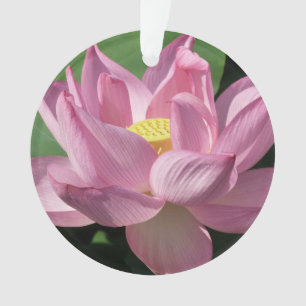 Pink Lotus Flower IV Ornament