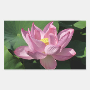Pink Lotus Flower IV Rectangular Sticker