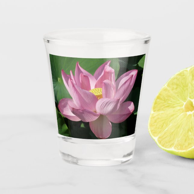 Pink Lotus Flower IV Shot Glass (Front)