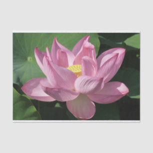 Pink Lotus Flower IV Tissue Paper