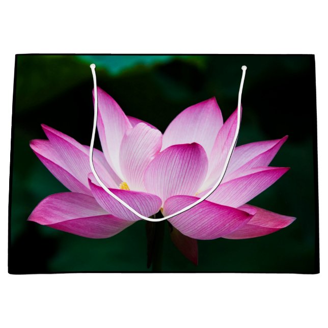 Pink Lotus Flower  Large Gift Bag (Front)