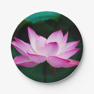 Pink Lotus Flower Paper Plate