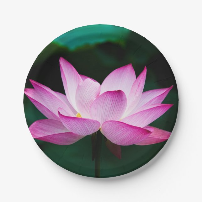 Pink Lotus Flower Paper Plate (Front)