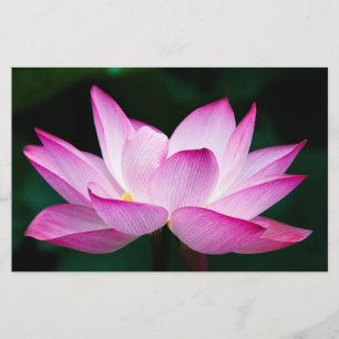 Pink Lotus Flower Stationery