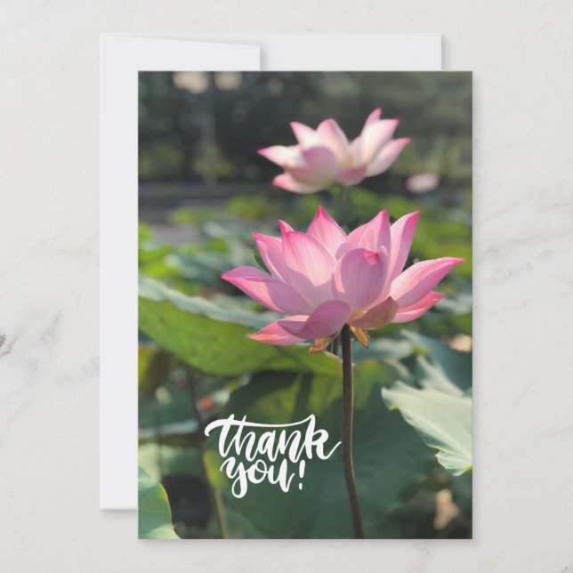 Pink Lotus Flower Thank you  (Front)