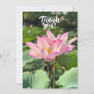 Pink Lotus Flower Thank you  Card