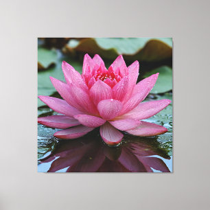 Pink Lotus Flower With Vibrant Petals Canvas Print