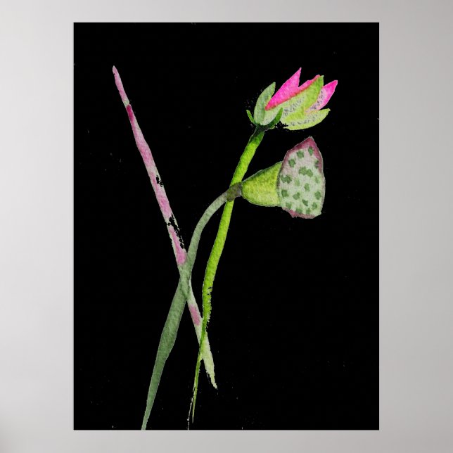 Pink Lotus flower Zen painting watercolour art Poster (Front)
