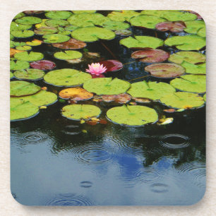 Pink lotus in Rain Coaster