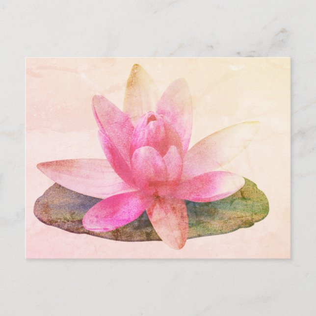 PINK LOTUS POSTCARD (Front)
