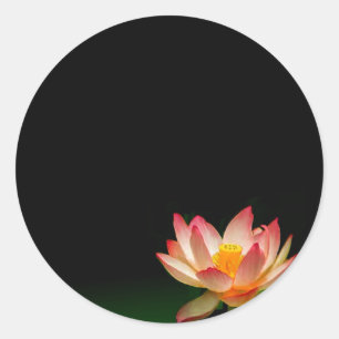 Pink lotus sticker, personalise it classic round sticker