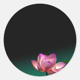 Pink lotus stickers