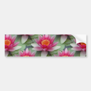 Pink Lotus Water Lily Bumper Sticker