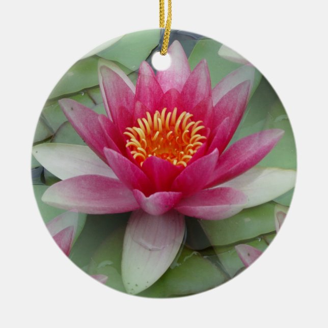 Pink Lotus Water Lily Ceramic Tree Decoration (Front)