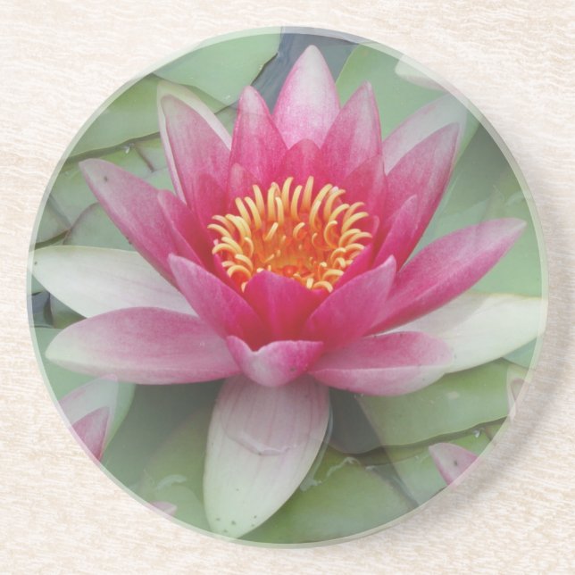 Pink Lotus Water Lily Coaster (Front)