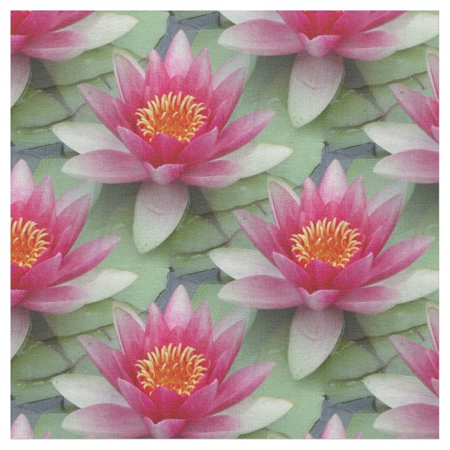 Pink Lotus Water Lily Fabric (Close Up)