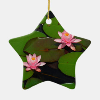 Pink lotus water lily flower  garden, ceramic tree decoration