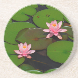 Pink lotus water lily flower garden, coaster